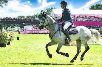 Photo de Jumping De Dinard