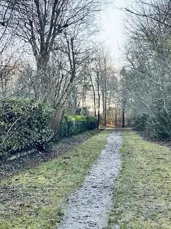 Photo de Corbiac Woods