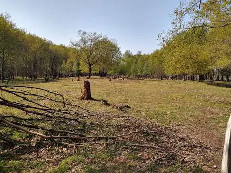 Photo de Schobbejakshoogte