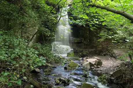 Photo de Harmby Waterfall