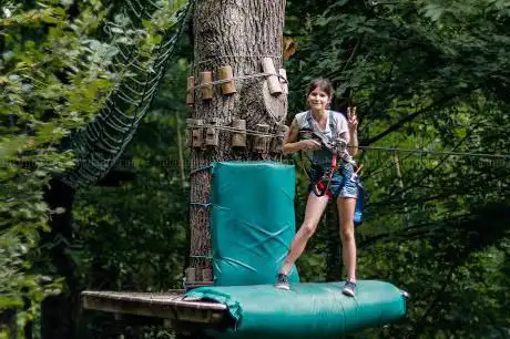 Photo de TARZ EN ARBRE