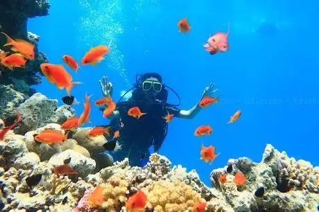 Photo de Ras Mohammed