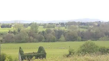 Dog Run - St. Catherine's Park
