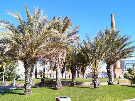 Photo de Parc del LlagostÃ­