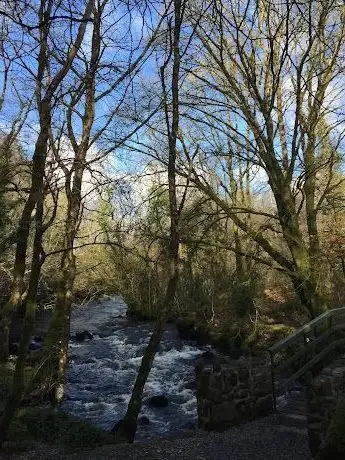 Photo de Milltown Woods