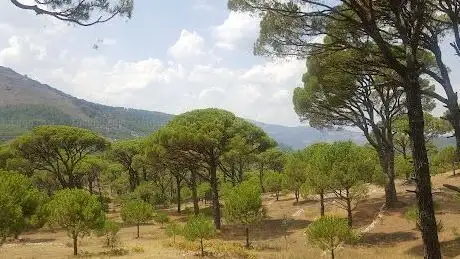 Photo de Bozdoğan Doğa Koruma Alanı