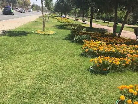 Photo de Peyas Parkı