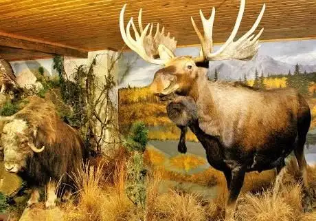 Photo of Alpen Wildpark Feld am See