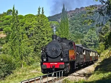 Photo de Train à Vapeur des Cévennes