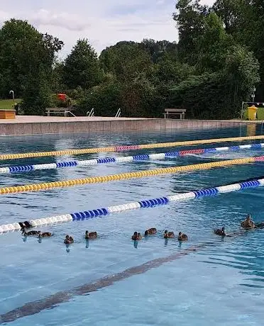 Photo of Welldorado Wels