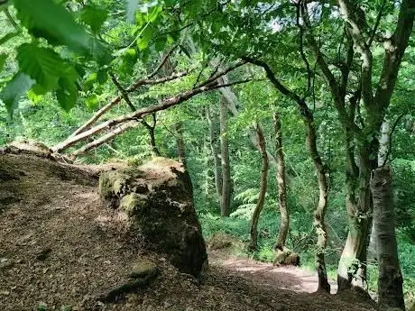 Photo de Firnskuppe