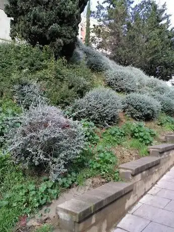 Photo de Plaça d'Eivissa