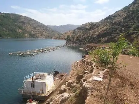 Photo de Kayapınar Municipality Recreation Park