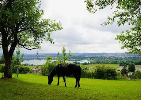 Photo de Pferdestall Obere Halden Auer