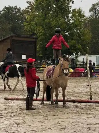 Photo de Ass Equestre de Verneuil
