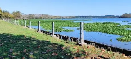 Photo de Pateira de Óis da Ribeira