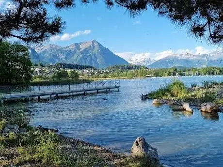 Photo of Bonstettenpark