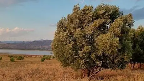 Photo de Suşehri