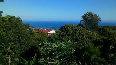 Photo de Vivre à la Réunion