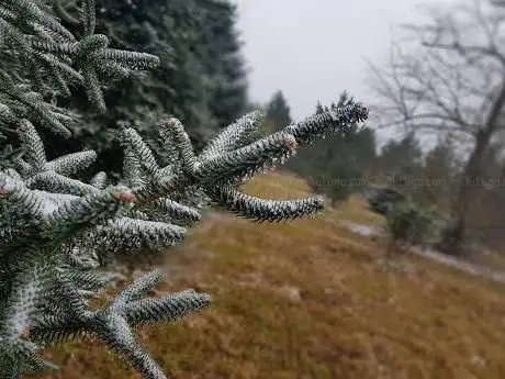 Photo de Arboretum BAUME LES DAMES