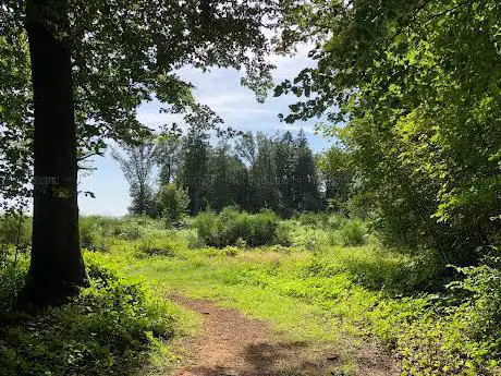 Photo de Arboretum de Virton