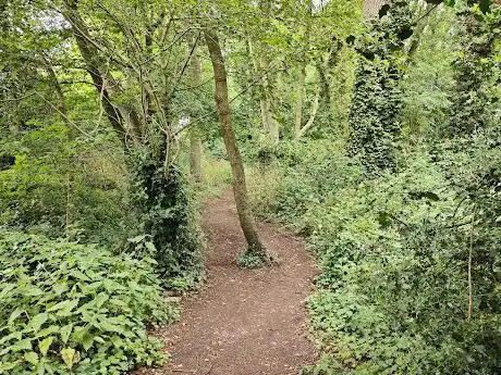 Photo de Bruddel Wood