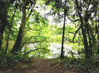 Photo de Parc des Tanneurs