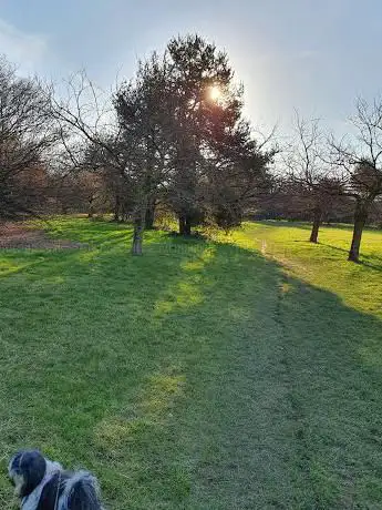 Photo de Parco di via Togliatti