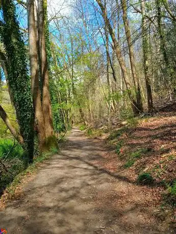 Photo de Vallée du Costour