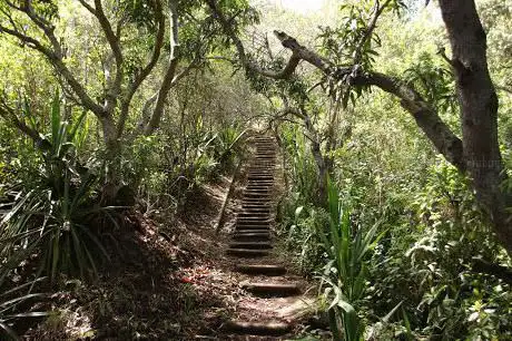 Photo de Sentier de l'entre deux