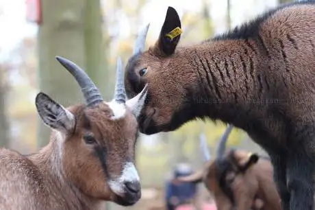 Photo de Ferme Rainbow