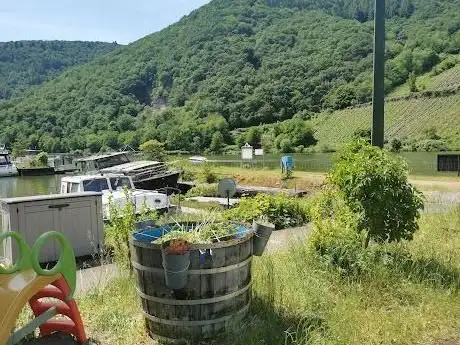 Photo de Moselcamping 