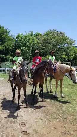 Photo of Trim's National Riding Stables