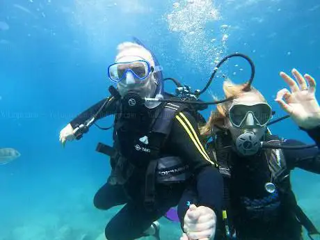 Photo de Travel Sub Dive Center Tenerife