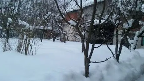 Photo de Vakufska Ribića otoka