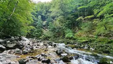 Photo de Passerelle du Gor de Brayes