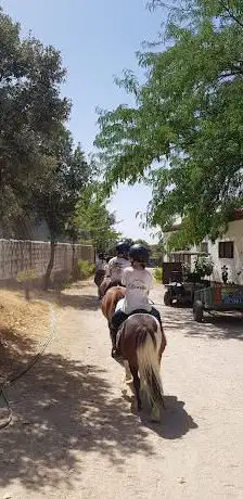 Photo de Club Hipico aBrezo