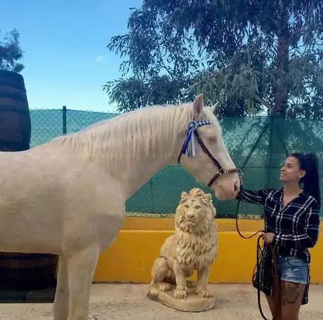 Photo de HÃ­pica LH