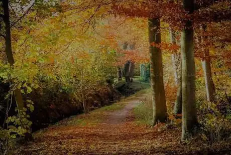Photo de De Voer