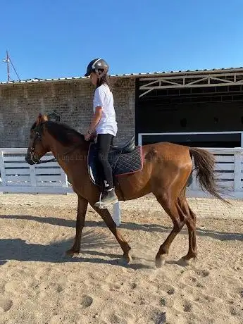 Photo de Knight Horse Club