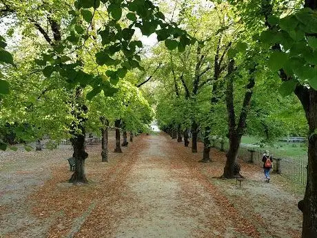 Photo de Alameda das Tílias