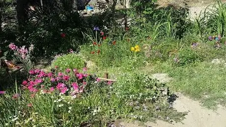 Photo de Celtikci Mahallesi Muhtarligi