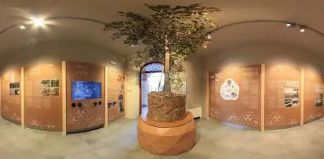 Photo de Museo del tartufo di Acqualagna