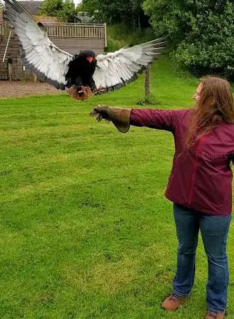 Photo de World of Wings