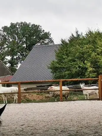 Photo de ECURIE DU CHATEL