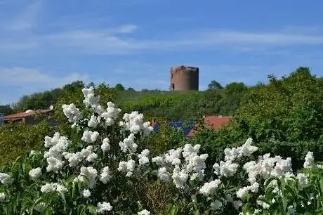 Photo de Stolper Turm