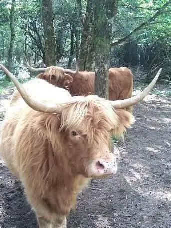 Photo de Arche de la biodiversité