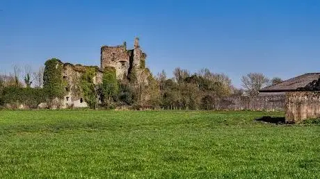 Photo de Lea Castle