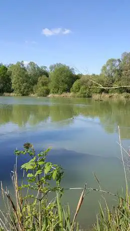 Photo de Reserve Ornithologique