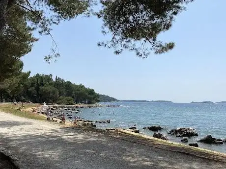 Photo de Cuvi park